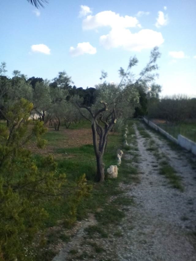 (Προς Πώληση) Αξιοποιήσιμη Γη Οικόπεδο || Ανατολική Αττική/Παλλήνη - 3.113 τ.μ, 500.000€ 